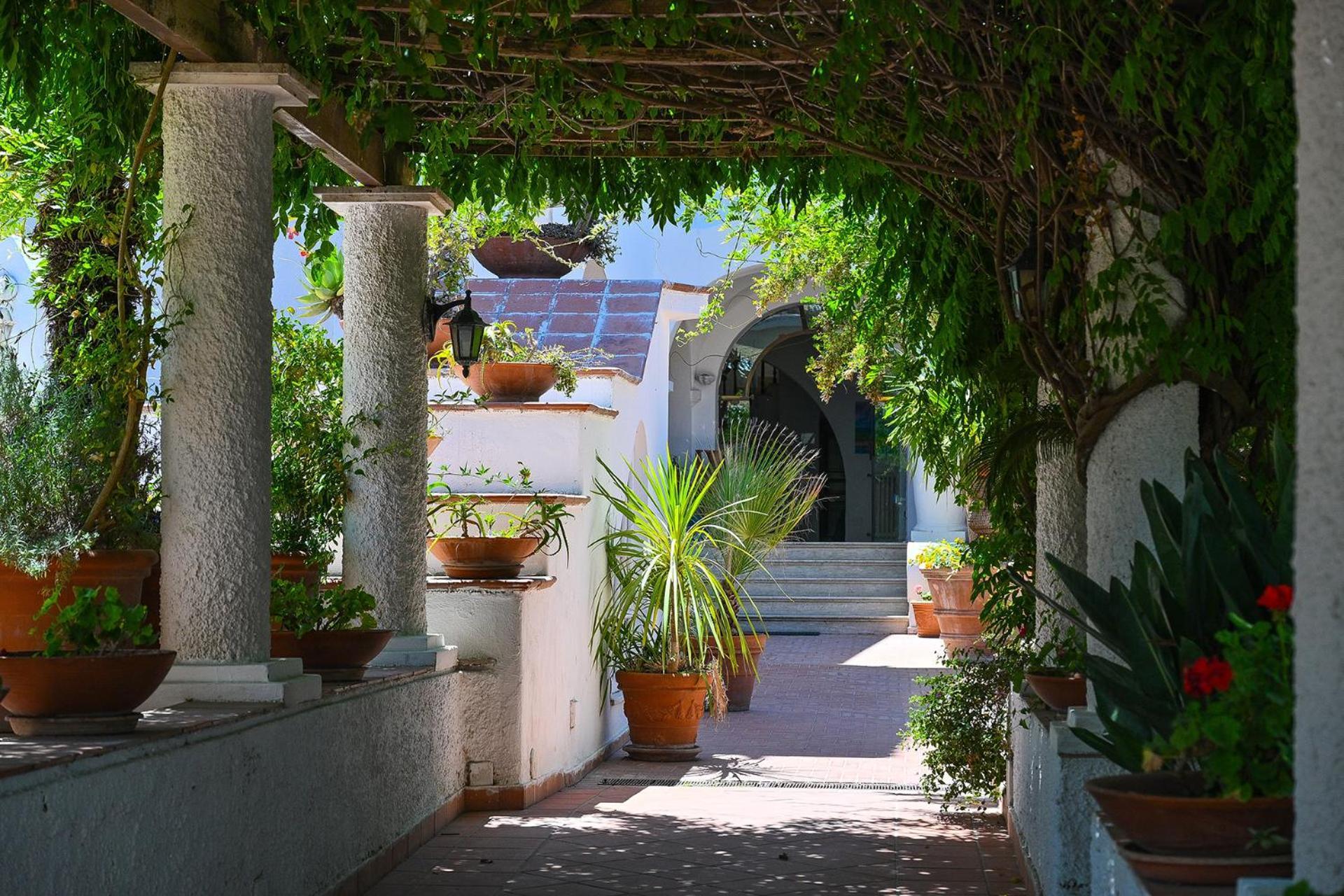 Av Club Terme Colella Ξενοδοχείο Forio di Ischia Εξωτερικό φωτογραφία