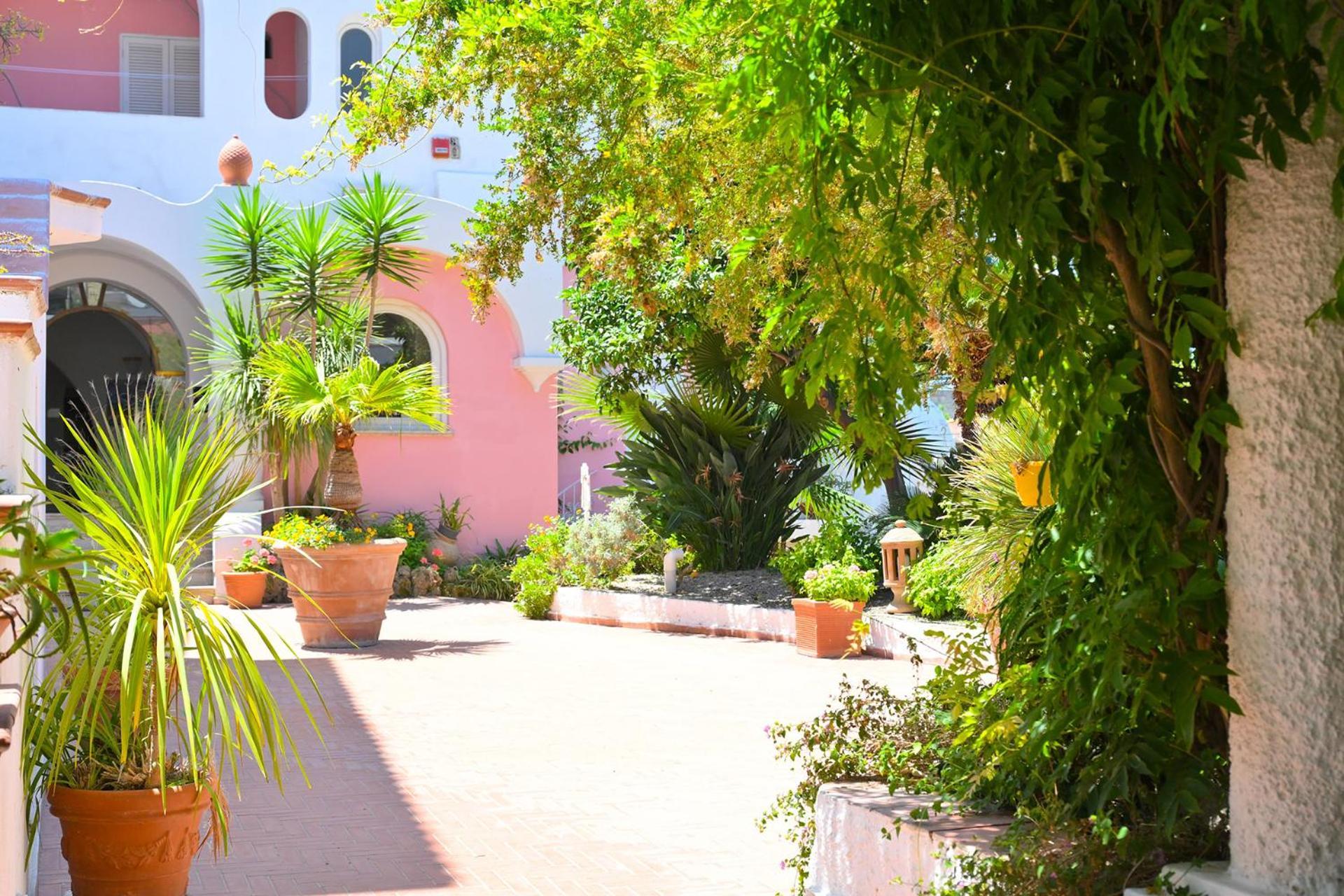 Av Club Terme Colella Ξενοδοχείο Forio di Ischia Εξωτερικό φωτογραφία